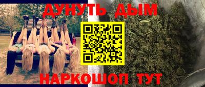 спайс Гагарин