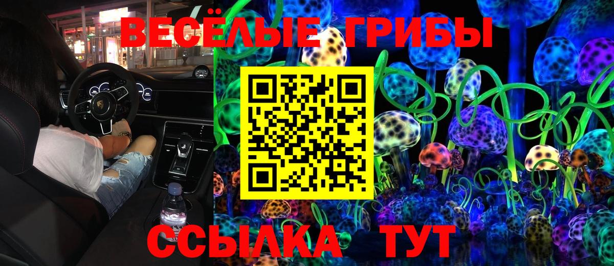 Гудермес  Галлюциногенные грибы Cubensis  Вход с VPN  Псилоцибиновые грибы MAGIC MUSHROOMS 