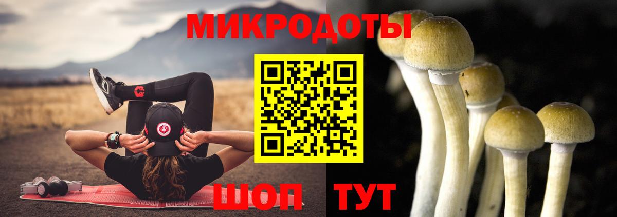 Галлюциногенные грибы MAGIC MUSHROOMS Гудермес