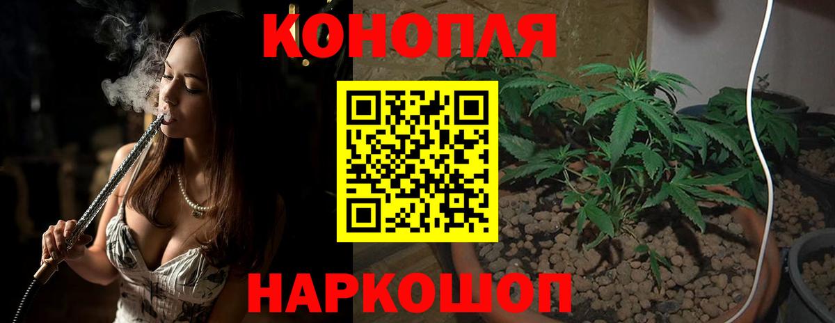 Конопля OG Kush Гудермес
